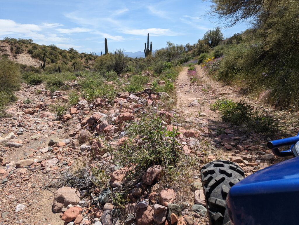 Thanksgiving Season: The Perfect Time to Hit the ATV Trails Around Roosevelt Lake